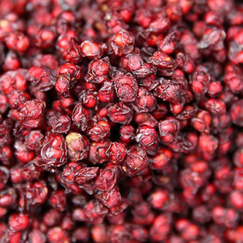 Schisandra Anti - Oxidation And Anti - Aging Effect