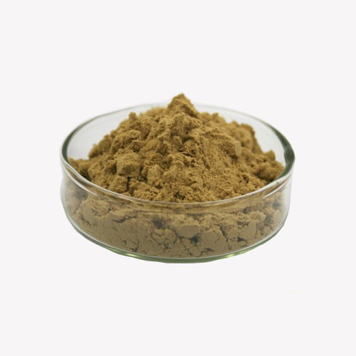 Plant Extract Powder