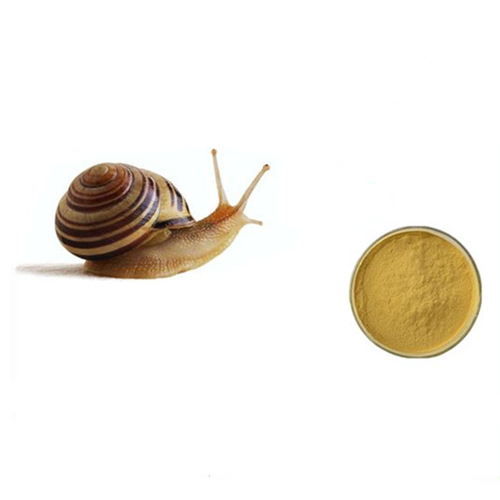 Snail Extract