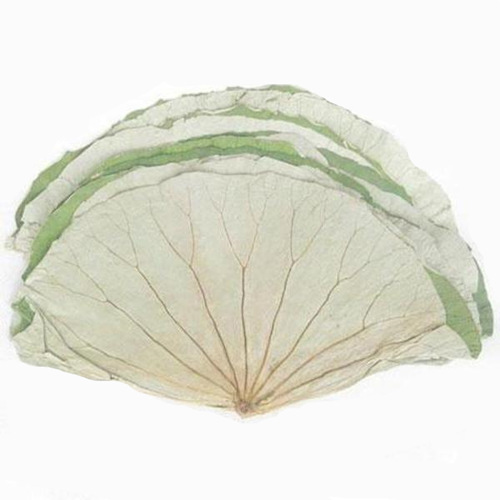 Lotus Leaf Tea