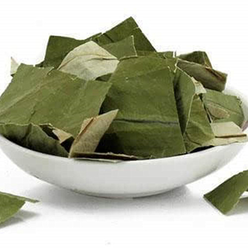 Lotus Leaf Supplier