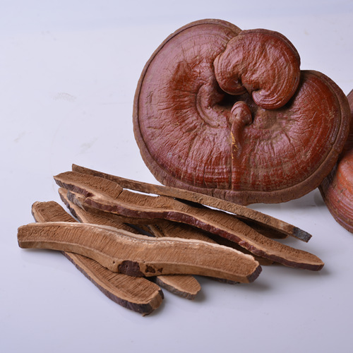 Ganoderma Mushroom