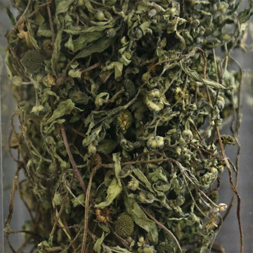 Herba Amurensis