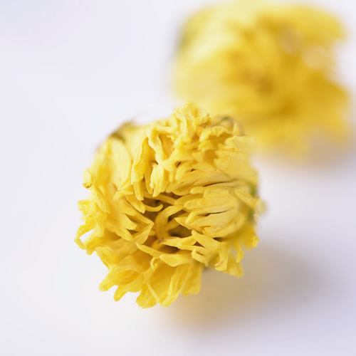 Fetal Chrysanthemum Tea