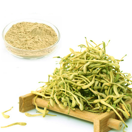 Honeysuckle Extract Manufacturer