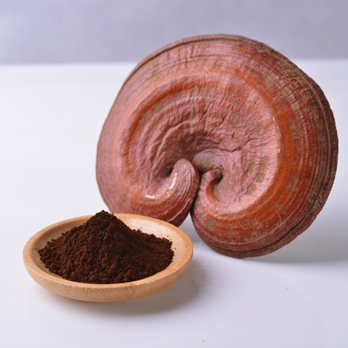 Broken Ganoderma Spore Powder