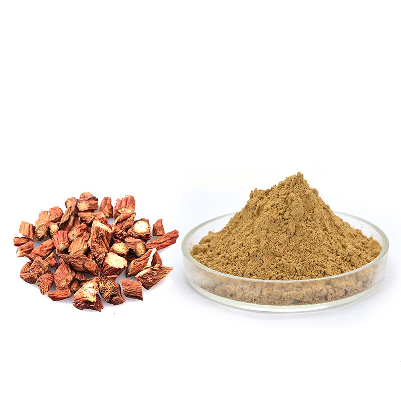 Salvia Miltiorrhiza Extract Powder