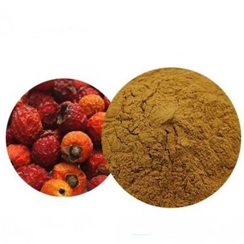 Rose Hip Extract Powder