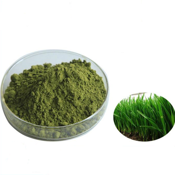 Barley Grass Powder