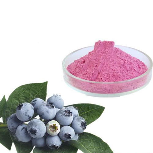 Blueberry Powder 80mesh