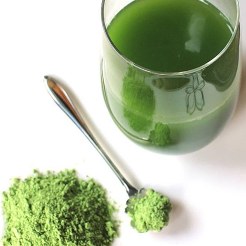 Wheat Grass Powder