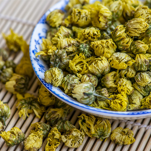 Chrysanthemum Flower Bub