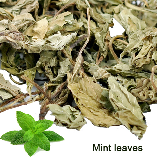 Mint Leaves