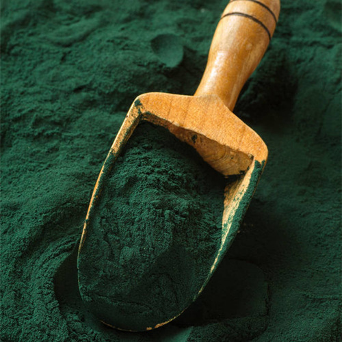 Spirulina Powder