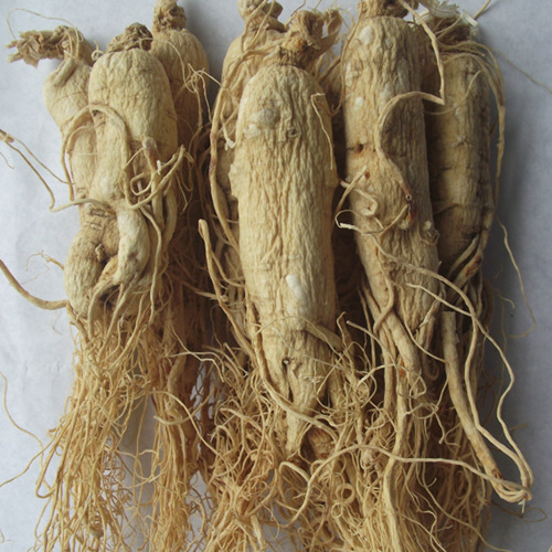 Ginseng Root Whole And Dried