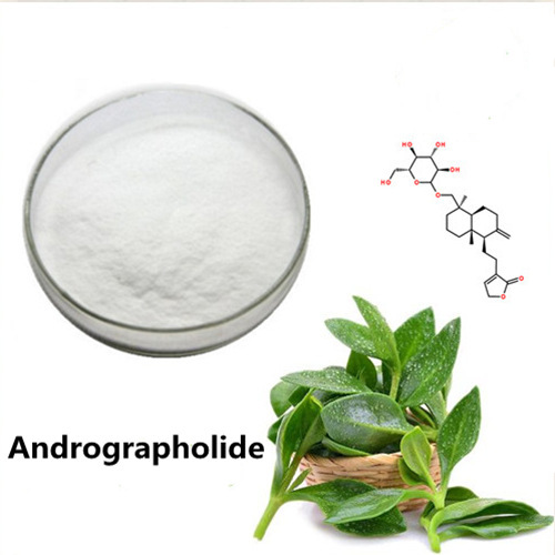 Andrographolide 98٪