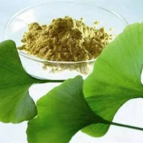 Ginkgo Biloba Leaves Dired