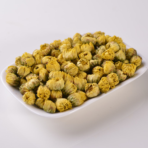 Chrysanthemum Flower Buds