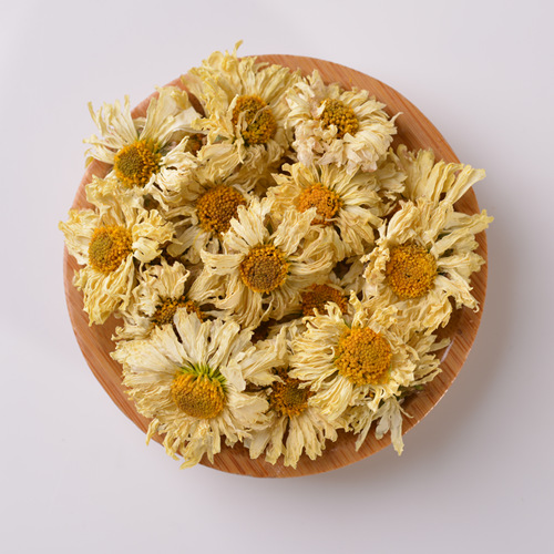 Fleur de chrysanthème bourgeons de thé