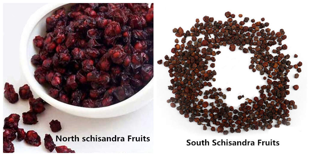 Schisandra Chinensis Fruits