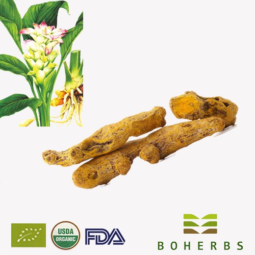 Turmeric Root Certified Organic Factory