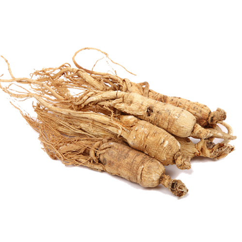 Le ginseng en poudre