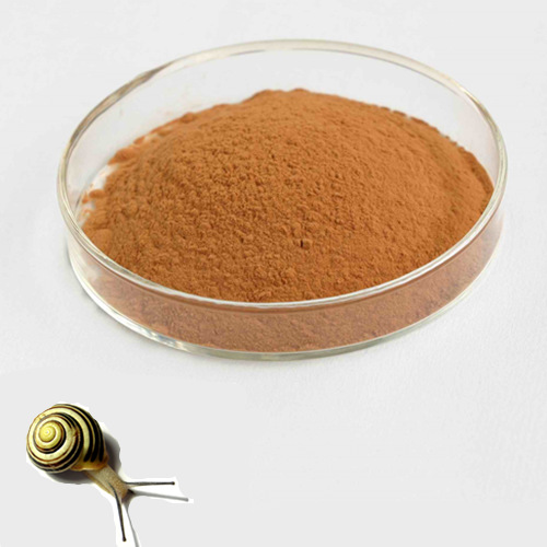 Ślimak Extract Powder