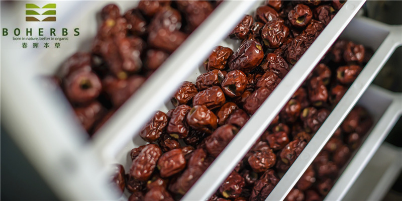 Red dates slices