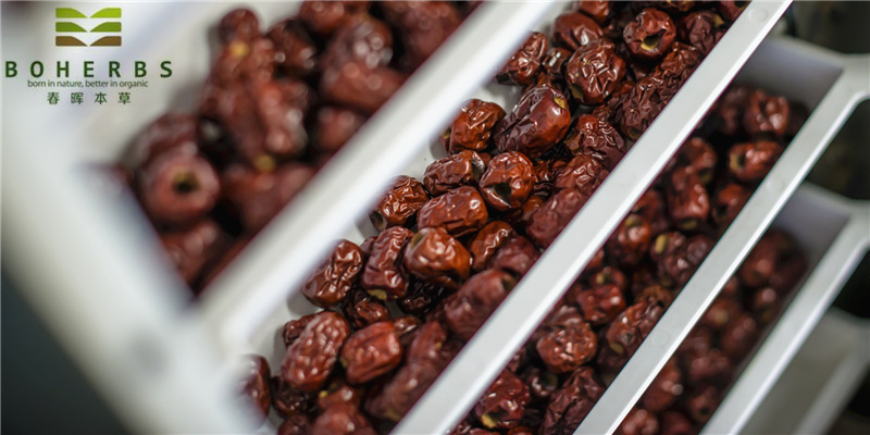 Organic Red Dates