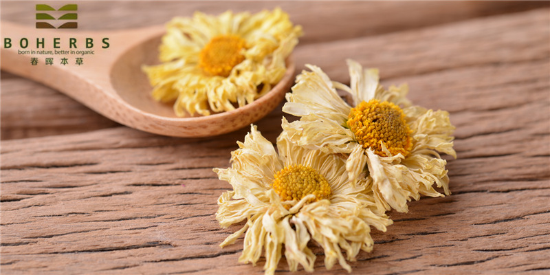 Organic Chrysanthemum