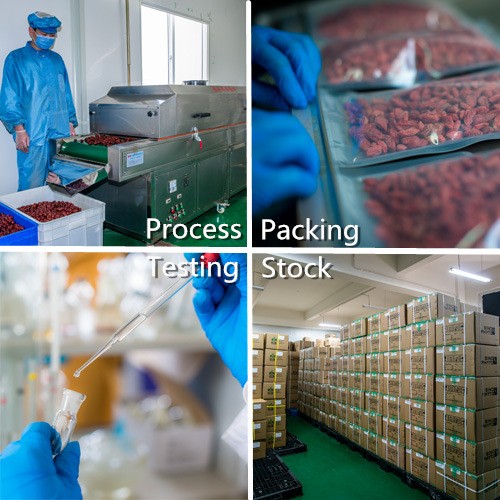 Red Ginseng Root Factory