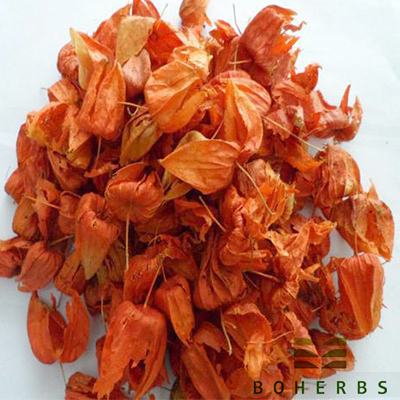 Dried Physalis Calyx Factory