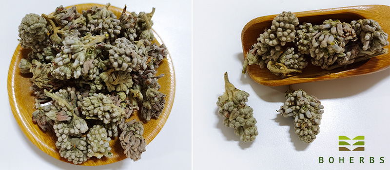 Dried Buddleja officinalis Flower