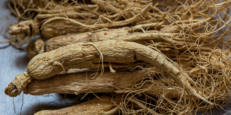 Panax Ginseng