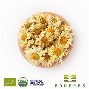 chrysanthemum buds