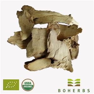 Organic Siberian Ginseng