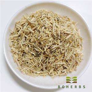 Organic Siberian Ginseng