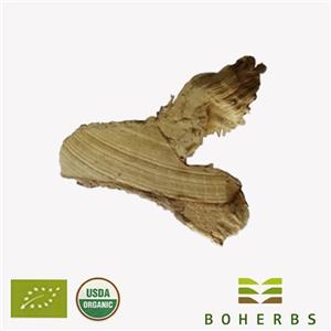Organic Siberian Ginseng