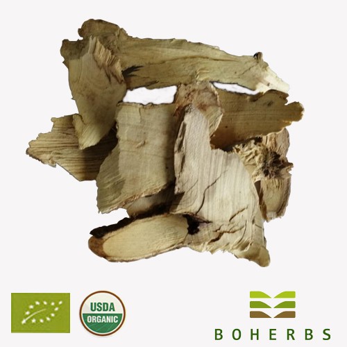 Siberian Ginseng