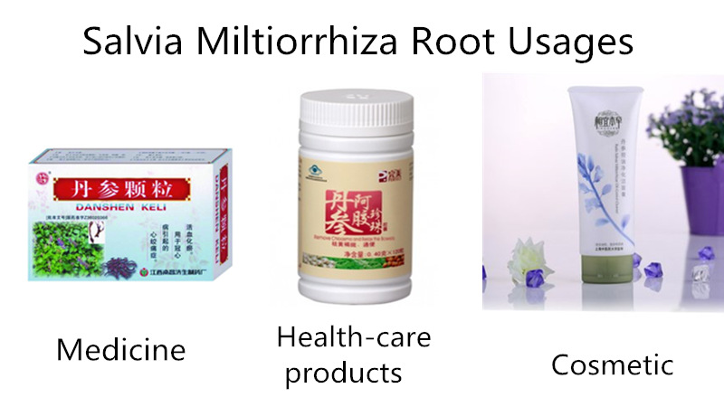 Danshen Root