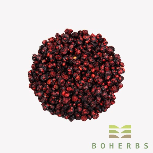 Schisandra Chinensis
