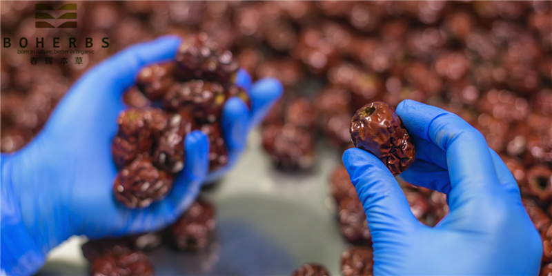Organic Red Dates