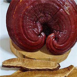 Organic Ganoderma Protects Your Health