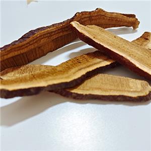 Como o cogumelo Reishi é colhido?