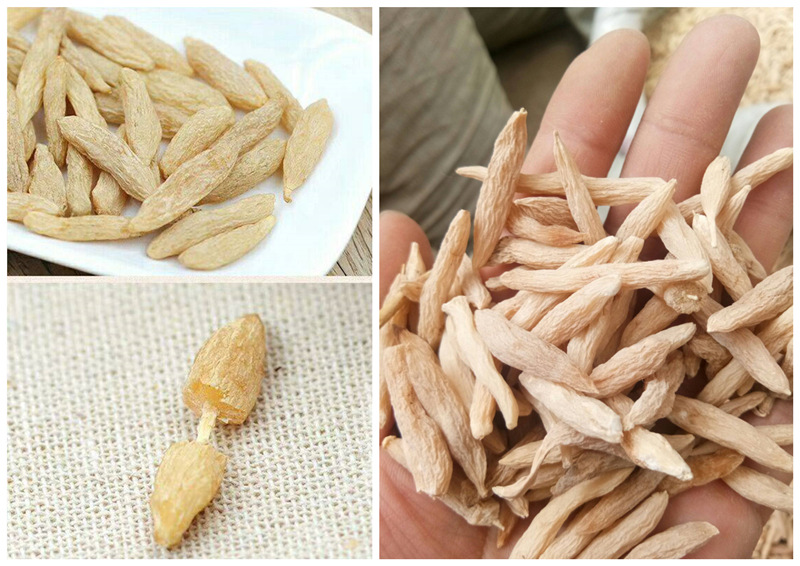 Dried Ophiopogon Root