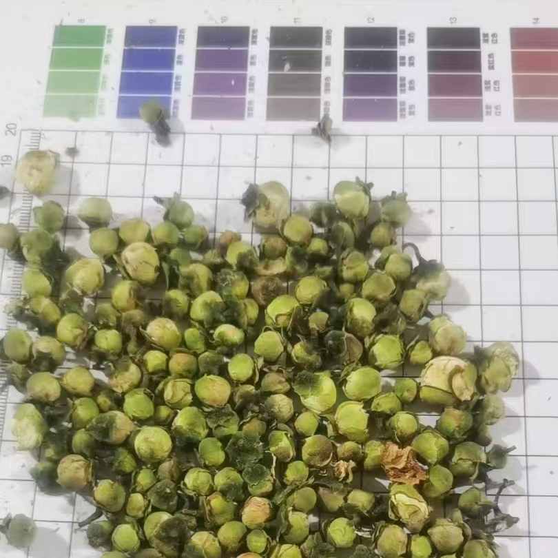 Китай Сушеный бутон камелии, производитель