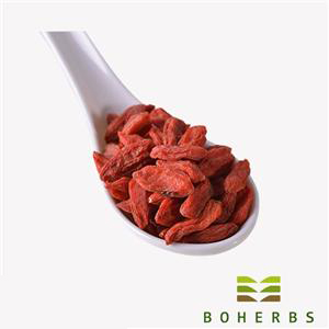Goji Berries Factory