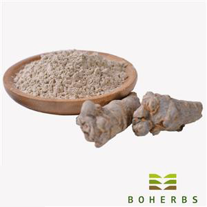 Comprar Panax notoginseng seco,Panax notoginseng seco Preço,Panax notoginseng seco   Marcas,Panax notoginseng seco Fabricante,Panax notoginseng seco Mercado,Panax notoginseng seco Companhia,