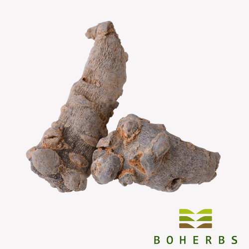 Comprar Panax notoginseng seco,Panax notoginseng seco Preço,Panax notoginseng seco   Marcas,Panax notoginseng seco Fabricante,Panax notoginseng seco Mercado,Panax notoginseng seco Companhia,