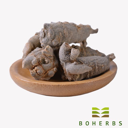 Panax Notoginseng seco